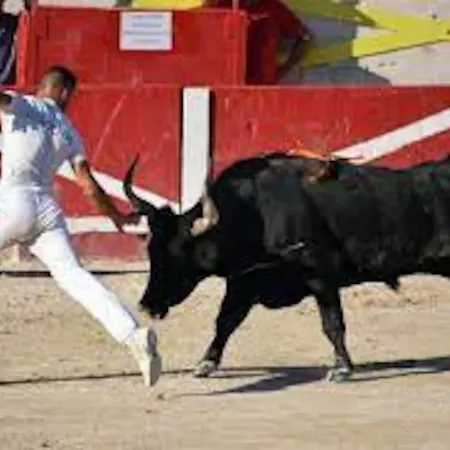 アパート Marina La Plagette Rdc Appontement Xl Parking ル・グロー・デュ・ロワ