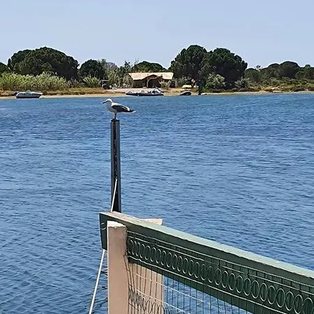 Marina La Plagette Rdc Appontement Xl Parking Apartment