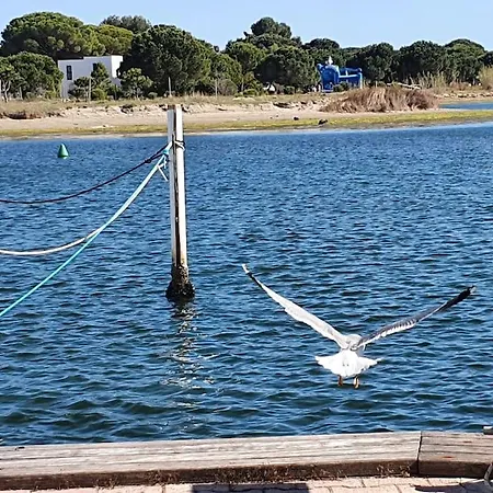 Marina La Plagette Rdc Appontement Xl Parking Le Grau-du-Roi