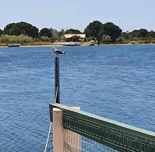 Marina La Plagette Rdc Appontement Xl Parking Lägenhet