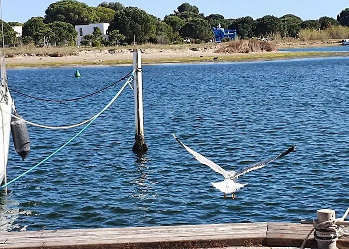 Marina La Plagette Rdc Appontement Xl Parking Le Grau-du-Roi